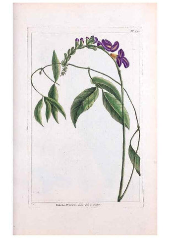 Reproducción/Reproduction 48975967372: Le grand jardin de l'univers,. Paris,Chez l'auteur,1785-1791.. 