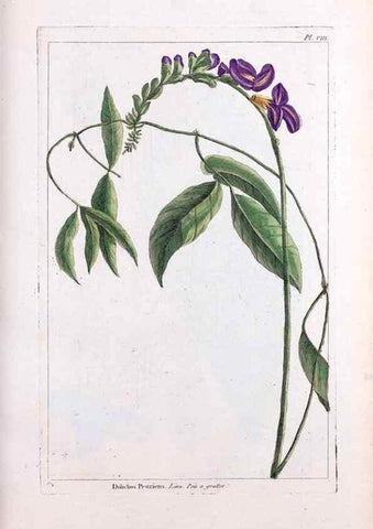 Reproducción/Reproduction 48975967372: Le grand jardin de l'univers,. Paris,Chez l'auteur,1785-1791.. 