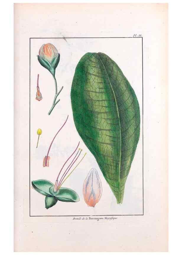 Reproducción/Reproduction 48975967952: Le grand jardin de l'univers,. Paris,Chez l'auteur,1785-1791.. 