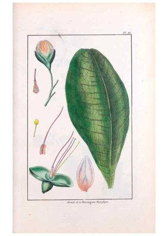 Reproducción/Reproduction 48975967952: Le grand jardin de l'univers,. Paris,Chez l'auteur,1785-1791.. 