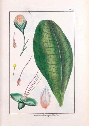 Reproducción/Reproduction 48975967952: Le grand jardin de l'univers,. Paris,Chez l'auteur,1785-1791.. 