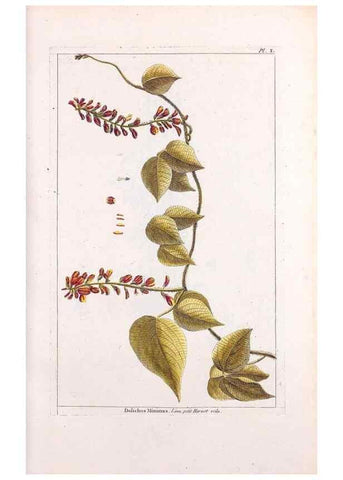 Reproducción/Reproduction 48975968322: Le grand jardin de l'univers,. Paris,Chez l'auteur,1785-1791.. 