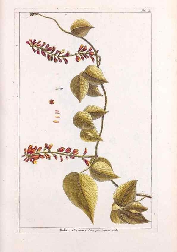 Reproducción/Reproduction 48975968322: Le grand jardin de l'univers,. Paris,Chez l'auteur,1785-1791.. 