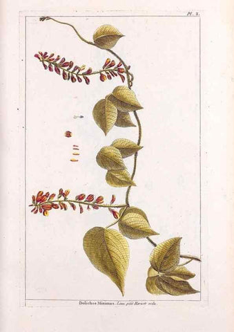 Reproducción/Reproduction 48975968322: Le grand jardin de l'univers,. Paris,Chez l'auteur,1785-1791.. 