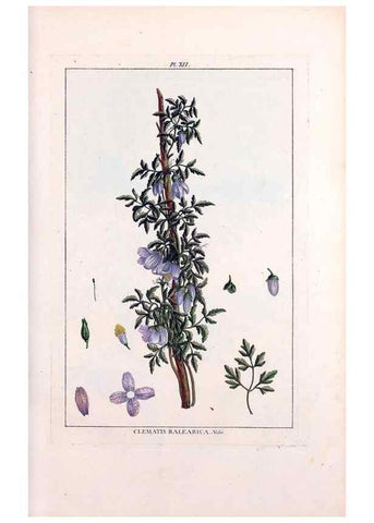 Reproducción/Reproduction 48975237703: Le grand jardin de l'univers,. Paris,Chez l'auteur,1785-1791.. 