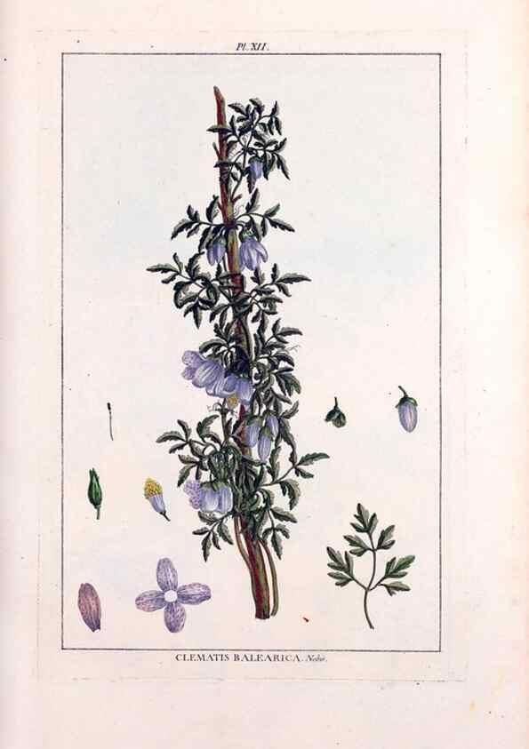 Reproducción/Reproduction 48975237703: Le grand jardin de l'univers,. Paris,Chez l'auteur,1785-1791.. 