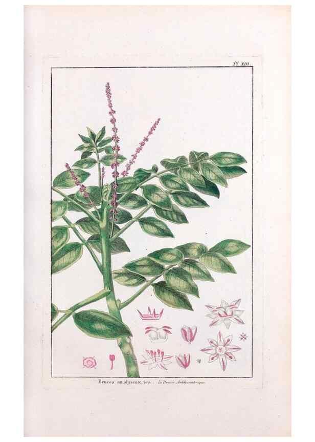 Reproducción/Reproduction 48975788336: Le grand jardin de l'univers,. Paris,Chez l'auteur,1785-1791.. 