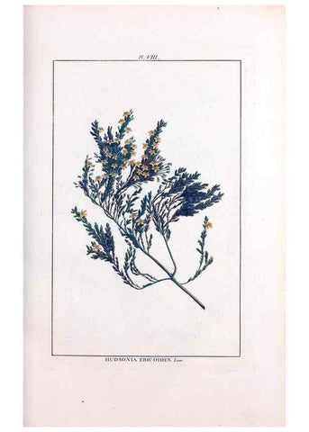 Reproducción/Reproduction 48975969667: Le grand jardin de l'univers,. Paris,Chez l'auteur,1785-1791.. 