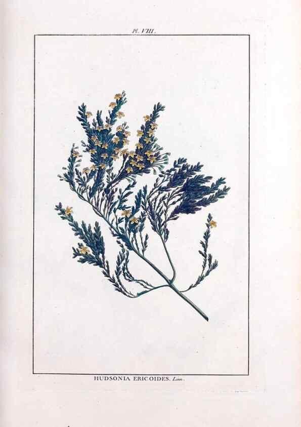 Reproducción/Reproduction 48975969667: Le grand jardin de l'univers,. Paris,Chez l'auteur,1785-1791.. 