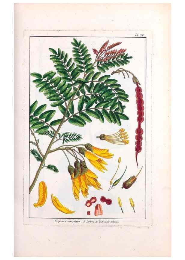 Reproducción/Reproduction 48975970157: Le grand jardin de l'univers,. Paris,Chez l'auteur,1785-1791.. 