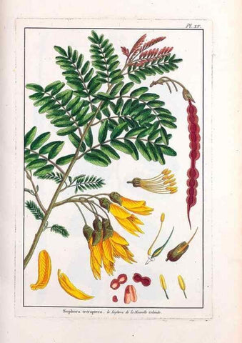 Reproducción/Reproduction 48975970157: Le grand jardin de l'univers,. Paris,Chez l'auteur,1785-1791.. 