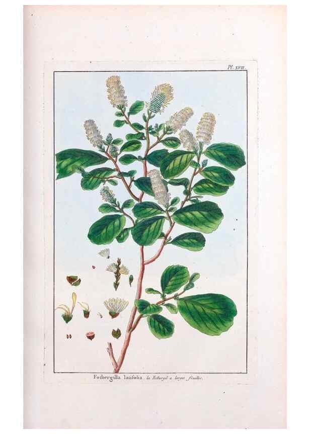 Reproducción/Reproduction 48975240013: Le grand jardin de l'univers,. Paris,Chez l'auteur,1785-1791.. 