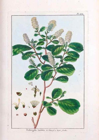 Reproducción/Reproduction 48975240013: Le grand jardin de l'univers,. Paris,Chez l'auteur,1785-1791.. 