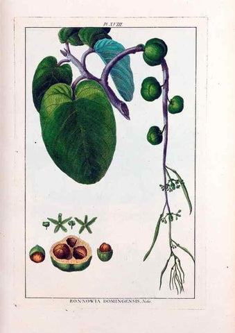 Reproducción/Reproduction 48975971617: Le grand jardin de l'univers,. Paris,Chez l'auteur,1785-1791.. 
