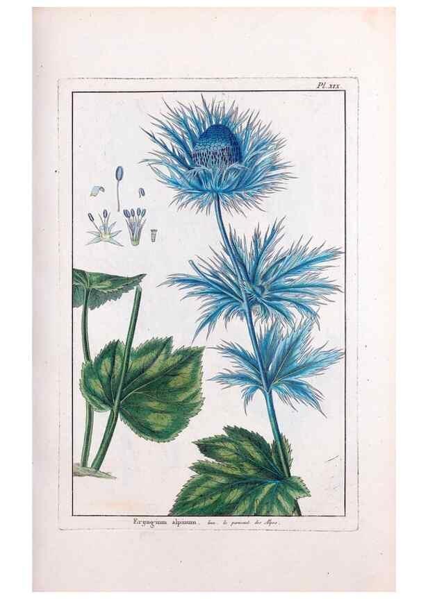 Reproducción/Reproduction 48975241128: Le grand jardin de l'univers,. Paris,Chez l'auteur,1785-1791.. 