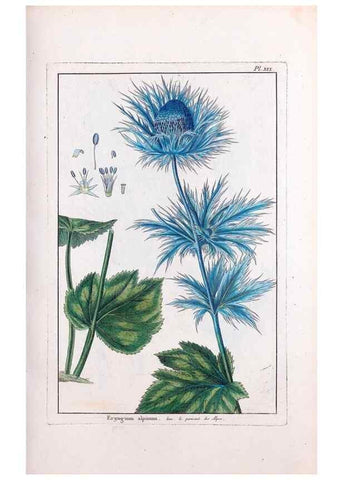 Reproducción/Reproduction 48975241128: Le grand jardin de l'univers,. Paris,Chez l'auteur,1785-1791.. 