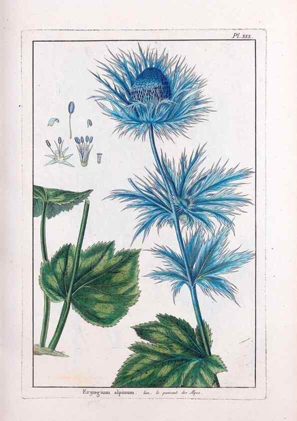 Reproducción/Reproduction 48975241128: Le grand jardin de l'univers,. Paris,Chez l'auteur,1785-1791.. 