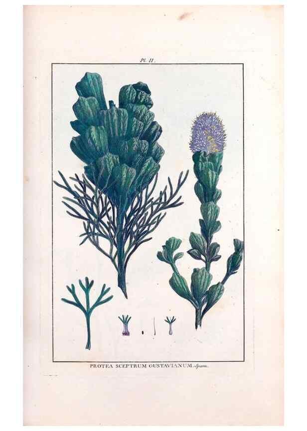Reproducción/Reproduction 48975972612: Le grand jardin de l'univers,. Paris,Chez l'auteur,1785-1791.. 