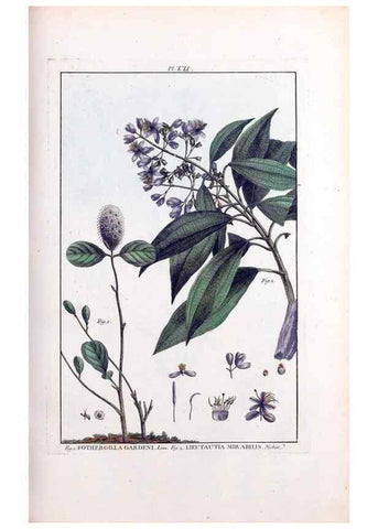 Reproducción/Reproduction 48975792191: Le grand jardin de l'univers,. Paris,Chez l'auteur,1785-1791.. 