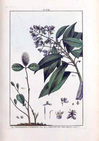 Reproducción/Reproduction 48975792191: Le grand jardin de l'univers,. Paris,Chez l'auteur,1785-1791.. 