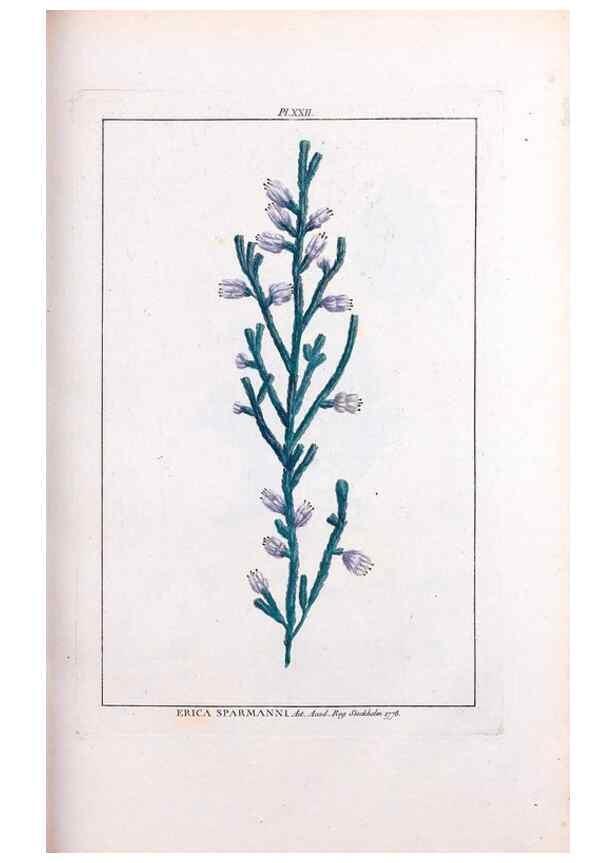 Reproducción/Reproduction 48975792681: Le grand jardin de l'univers,. Paris,Chez l'auteur,1785-1791.. 