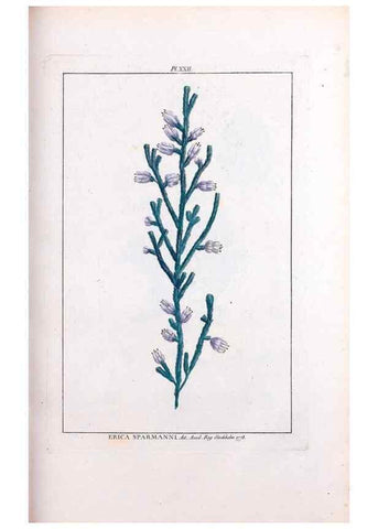 Reproducción/Reproduction 48975792681: Le grand jardin de l'univers,. Paris,Chez l'auteur,1785-1791.. 