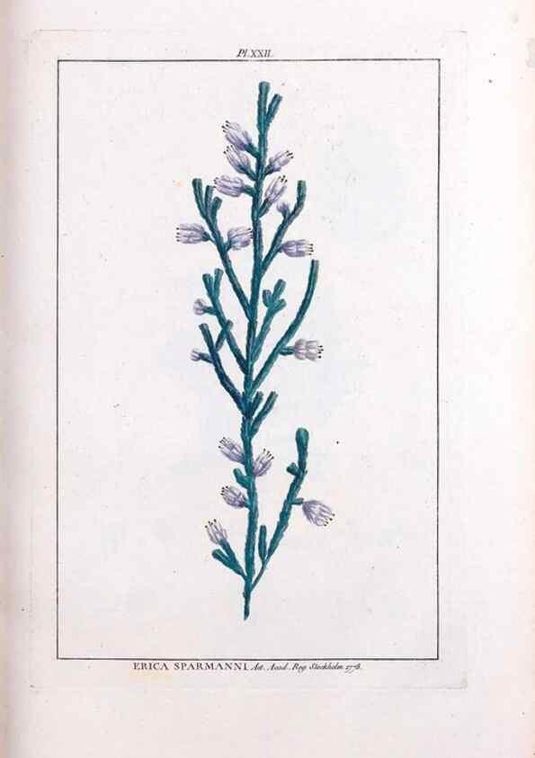 Reproducción/Reproduction 48975792681: Le grand jardin de l'univers,. Paris,Chez l'auteur,1785-1791.. 