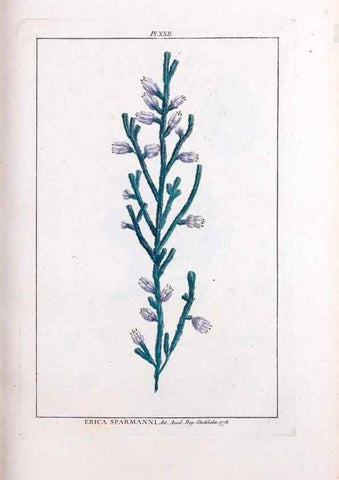 Reproducción/Reproduction 48975792681: Le grand jardin de l'univers,. Paris,Chez l'auteur,1785-1791.. 