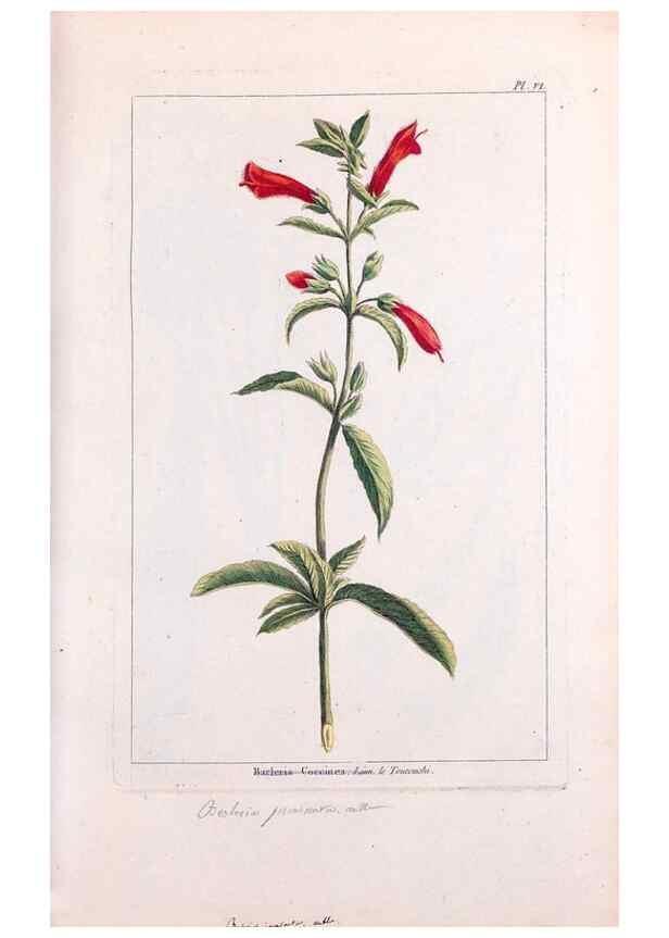 Reproducción/Reproduction 48975235093: Le grand jardin de l'univers,. Paris,Chez l'auteur,1785-1791.. 