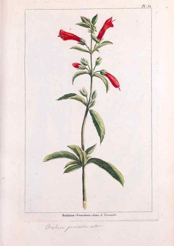 Reproducción/Reproduction 48975235093: Le grand jardin de l'univers,. Paris,Chez l'auteur,1785-1791.. 