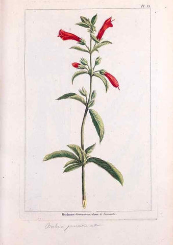 Reproducción/Reproduction 48975235093: Le grand jardin de l'univers,. Paris,Chez l'auteur,1785-1791.. 