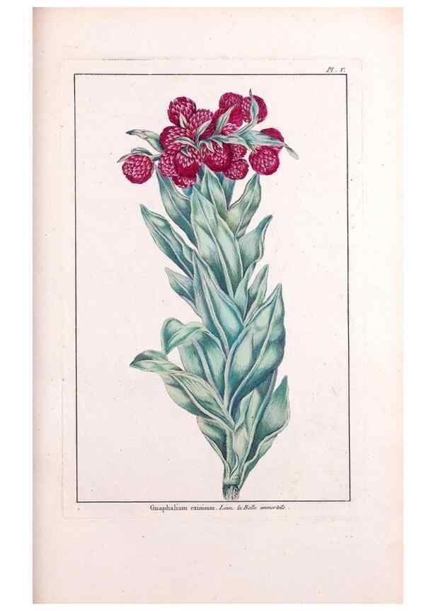 Reproducción/Reproduction 48975234623: Le grand jardin de l'univers,. Paris,Chez l'auteur,1785-1791.. 