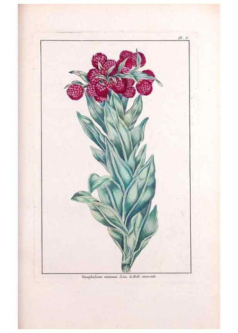 Reproducción/Reproduction 48975234623: Le grand jardin de l'univers,. Paris,Chez l'auteur,1785-1791.. 