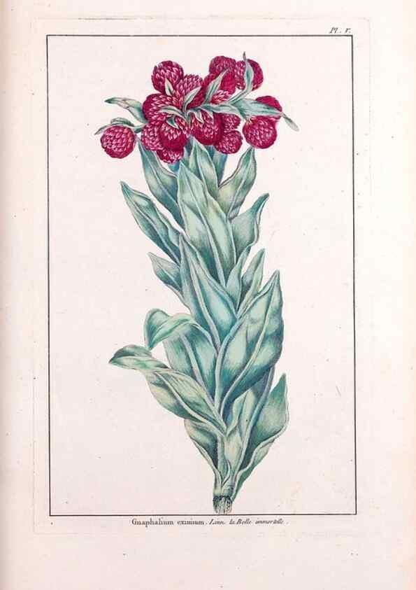 Reproducción/Reproduction 48975234623: Le grand jardin de l'univers,. Paris,Chez l'auteur,1785-1791.. 