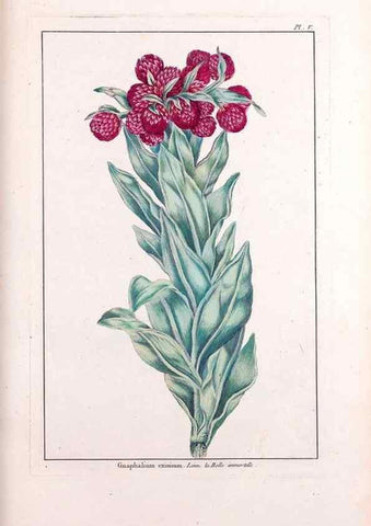 Reproducción/Reproduction 48975234623: Le grand jardin de l'univers,. Paris,Chez l'auteur,1785-1791.. 