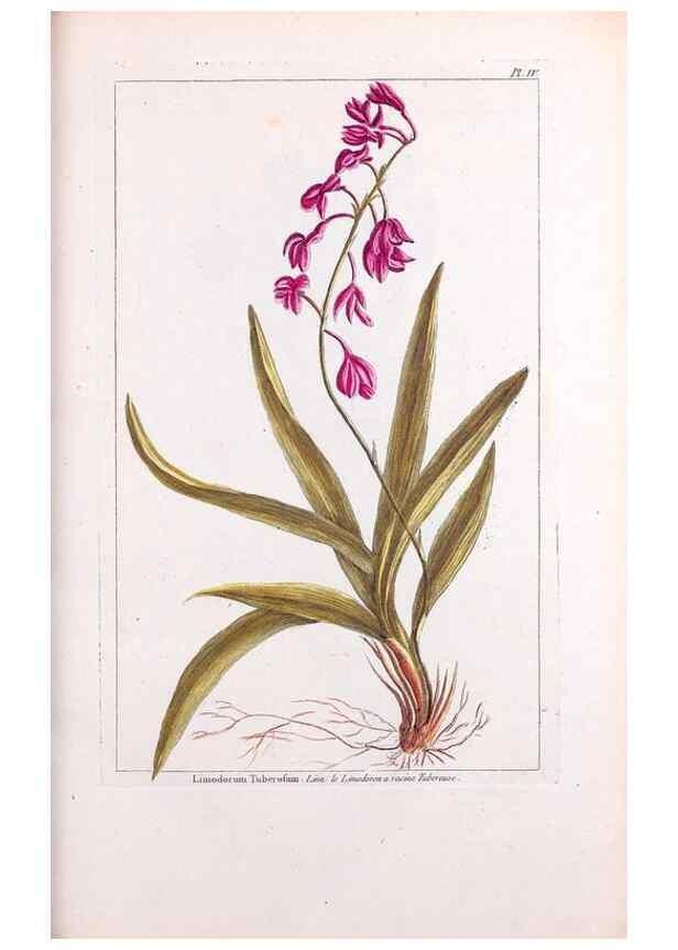 Reproducción/Reproduction 48975784541: Le grand jardin de l'univers,. Paris,Chez l'auteur,1785-1791.. 