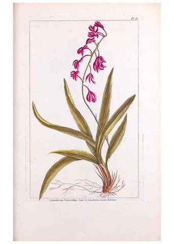 Reproducción/Reproduction 48975784541: Le grand jardin de l'univers,. Paris,Chez l'auteur,1785-1791.. 