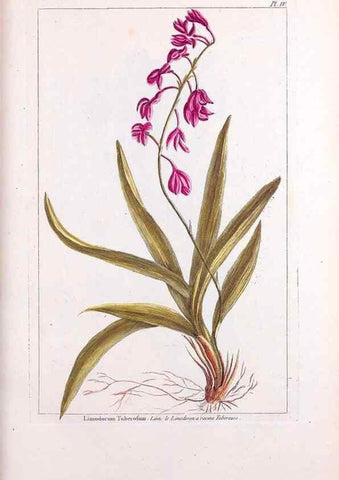 Reproducción/Reproduction 48975784541: Le grand jardin de l'univers,. Paris,Chez l'auteur,1785-1791.. 