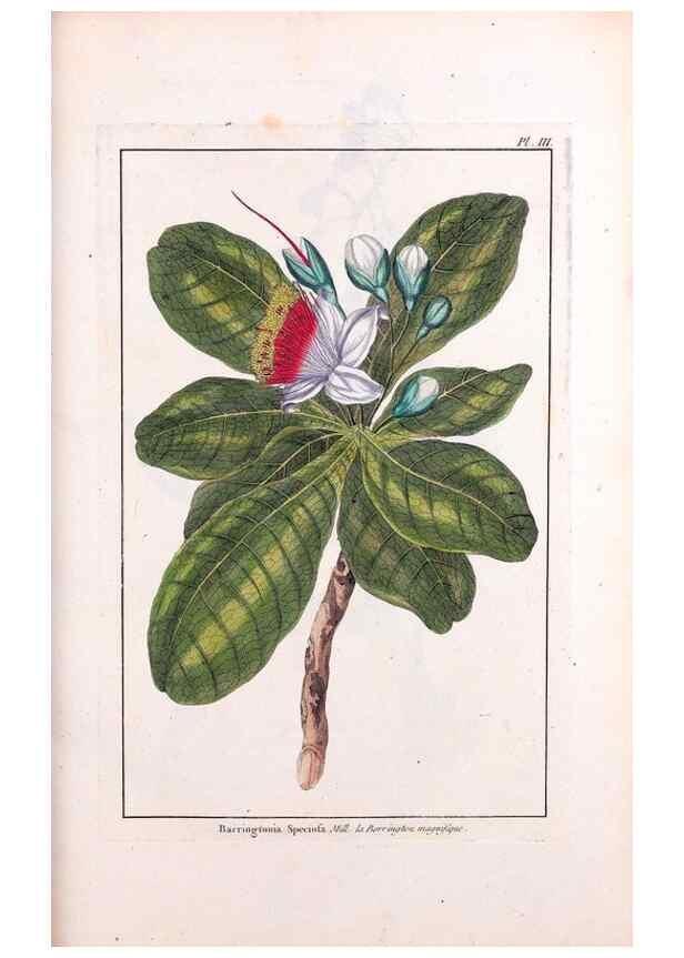 Reproducción/Reproduction 48975964772: Le grand jardin de l'univers,. Paris,Chez l'auteur,1785-1791.. 