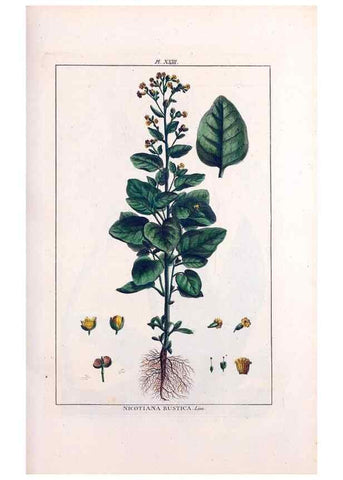 Reproducción/Reproduction 48975793776: Le grand jardin de l'univers,. Paris,Chez l'auteur,1785-1791.. 