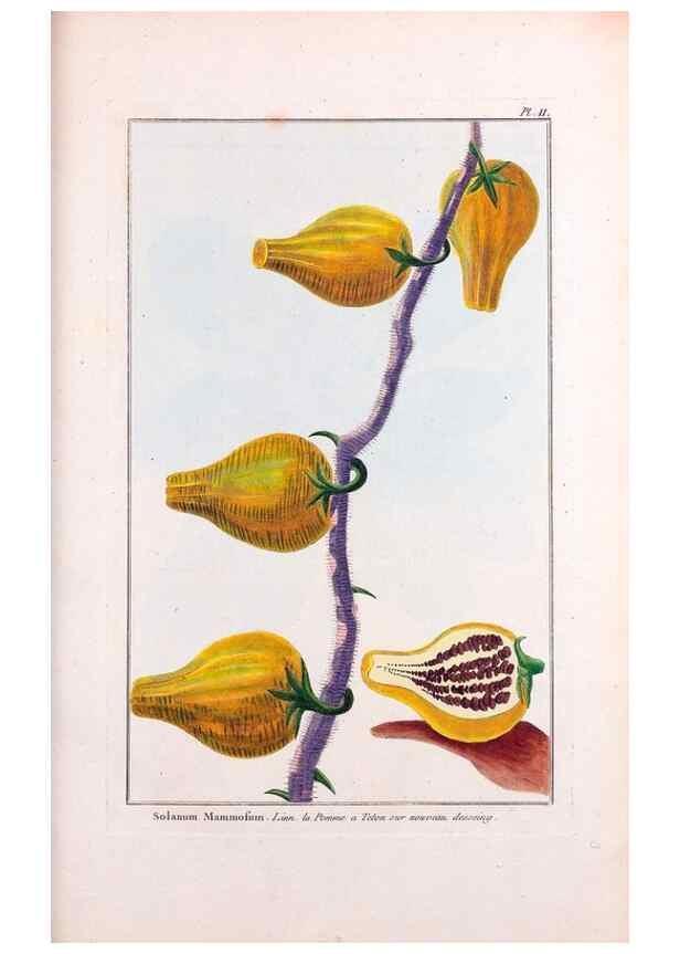 Reproducción/Reproduction 48975783446: Le grand jardin de l'univers,. Paris,Chez l'auteur,1785-1791.. 