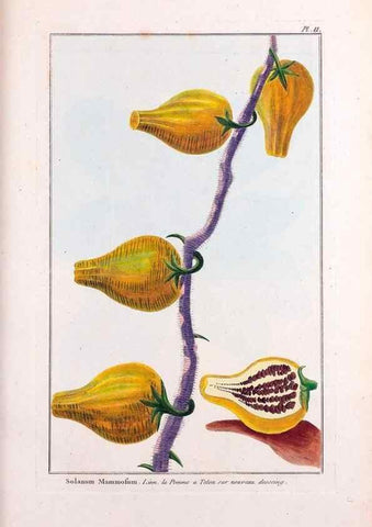 Reproducción/Reproduction 48975783446: Le grand jardin de l'univers,. Paris,Chez l'auteur,1785-1791.. 