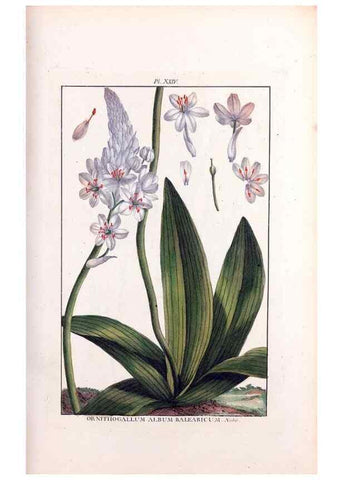 Reproducción/Reproduction 48975975127: Le grand jardin de l'univers,. Paris,Chez l'auteur,1785-1791.. 