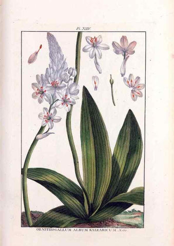 Reproducción/Reproduction 48975975127: Le grand jardin de l'univers,. Paris,Chez l'auteur,1785-1791.. 