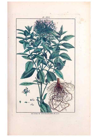 Reproducción/Reproduction 48975251923: Le grand jardin de l'univers,. Paris,Chez l'auteur,1785-1791.. 