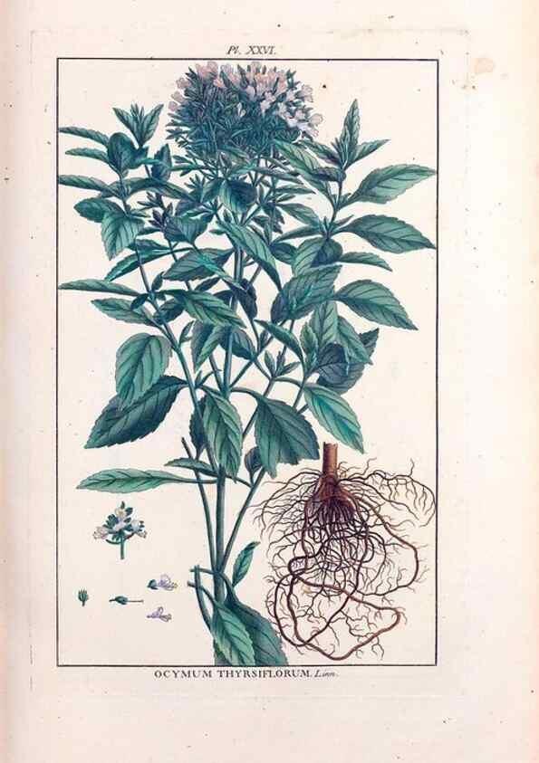 Reproducción/Reproduction 48975251923: Le grand jardin de l'univers,. Paris,Chez l'auteur,1785-1791.. 