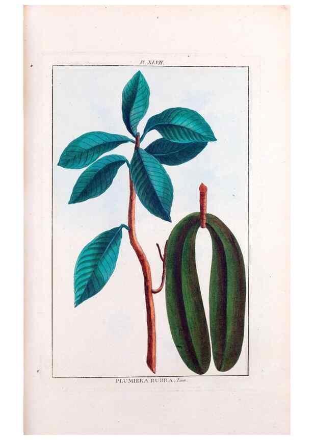 Reproducción/Reproduction 48975992357: Le grand jardin de l'univers,. Paris,Chez l'auteur,1785-1791.. 