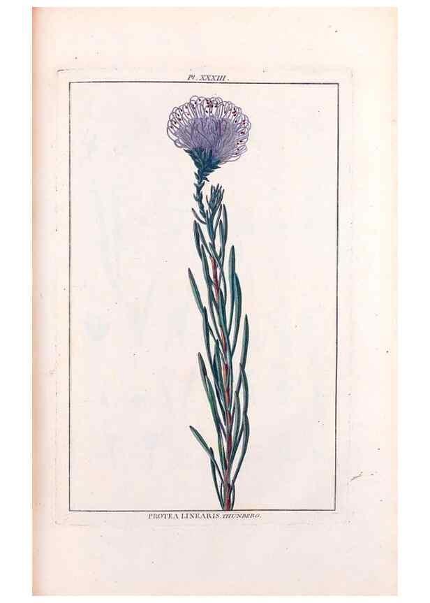 Reproducción/Reproduction 48975262213: Le grand jardin de l'univers,. Paris,Chez l'auteur,1785-1791.. 
