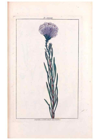 Reproducción/Reproduction 48975262213: Le grand jardin de l'univers,. Paris,Chez l'auteur,1785-1791.. 