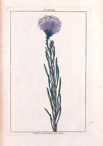 Reproducción/Reproduction 48975262213: Le grand jardin de l'univers,. Paris,Chez l'auteur,1785-1791.. 